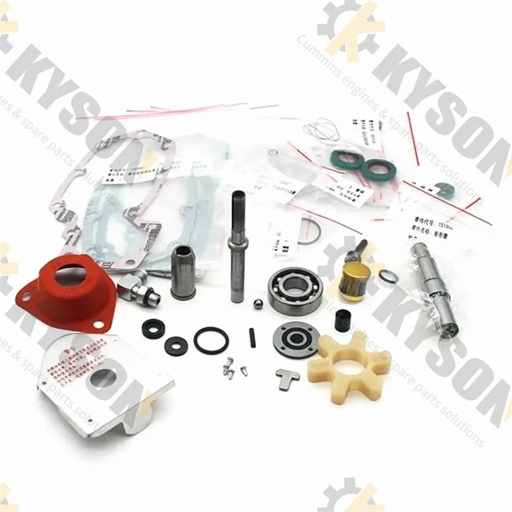 Fuel pump Repair Kit (2)